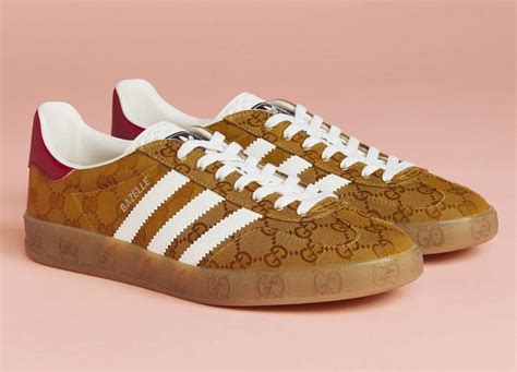 adidas campus gucci